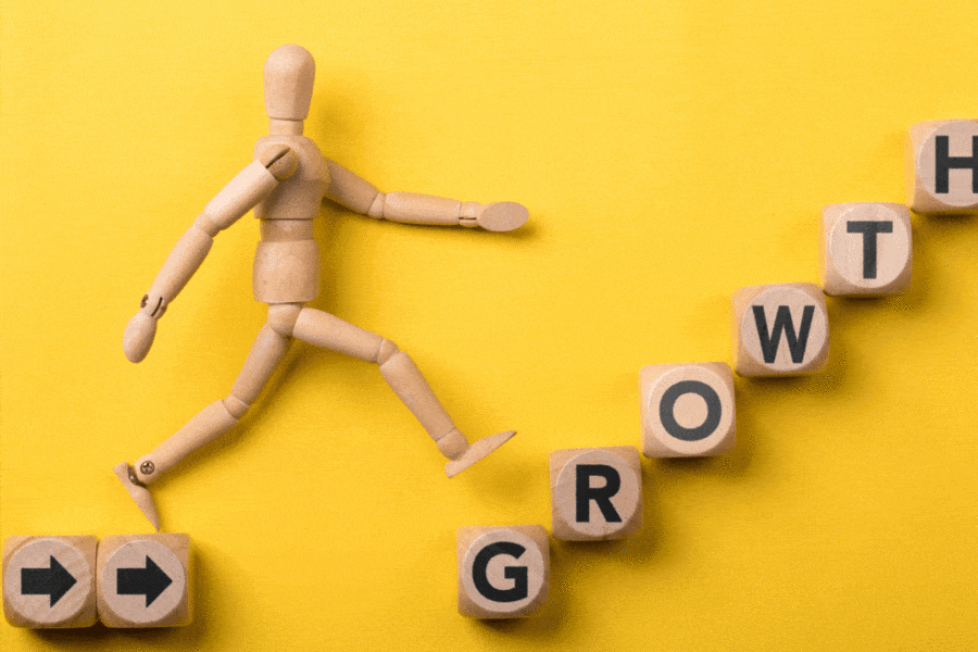 certification disc pour la culture d'entreprise